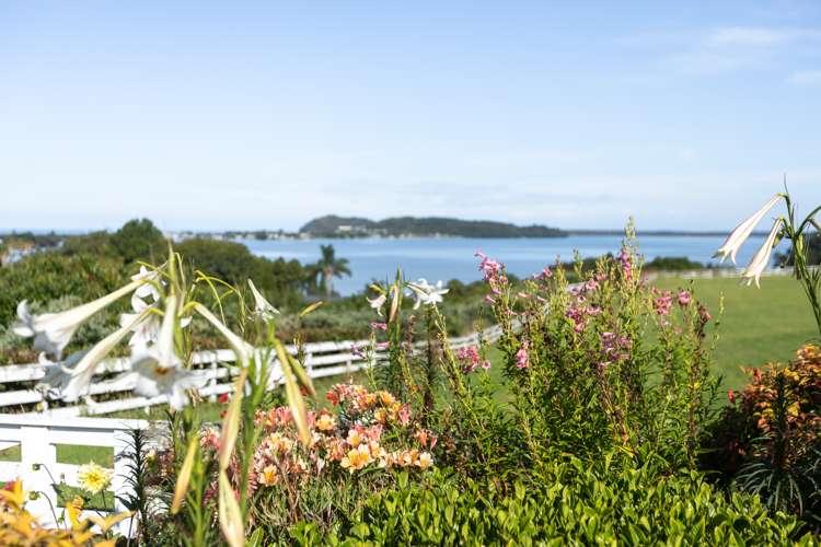 131 Athenree Road Athenree_18