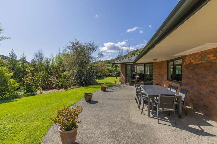 123 Maui Pomare Road Nikau Valley_17