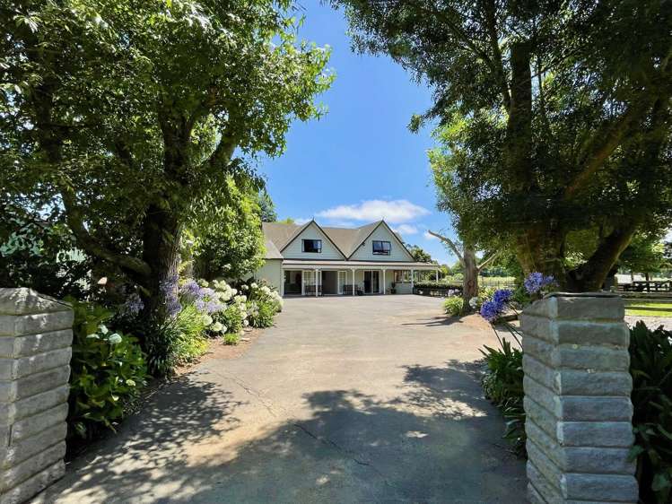 330 Gun Club Road Pukekohe_8