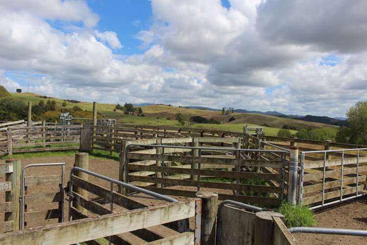 Aponga Road Ruatangata_15