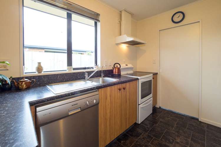 19 Thomson Street Tinwald_5