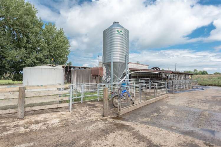 123 Ryburn Road Ohaupo_8