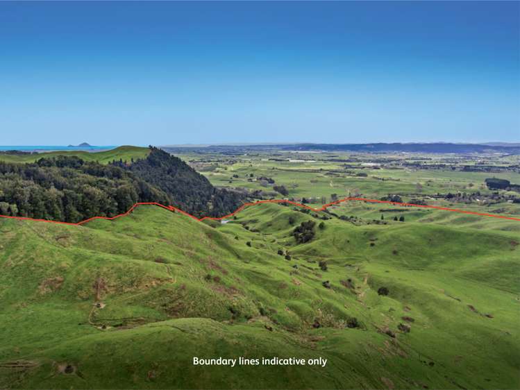 950 Braemar Road Rotoma_25