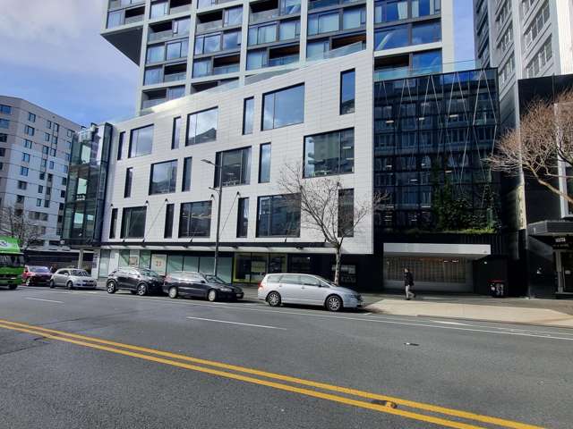 161 Victoria Street Te Aro_1