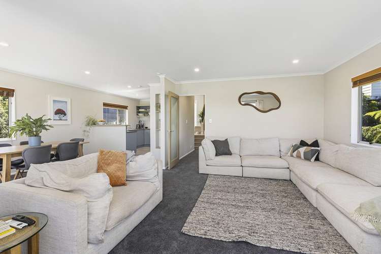 81 Nevay Road Miramar_7