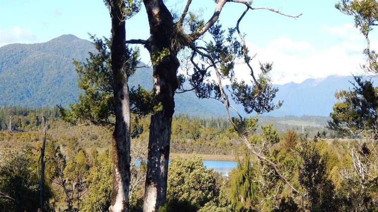 86d Duffers Creek Road Hokitika_12