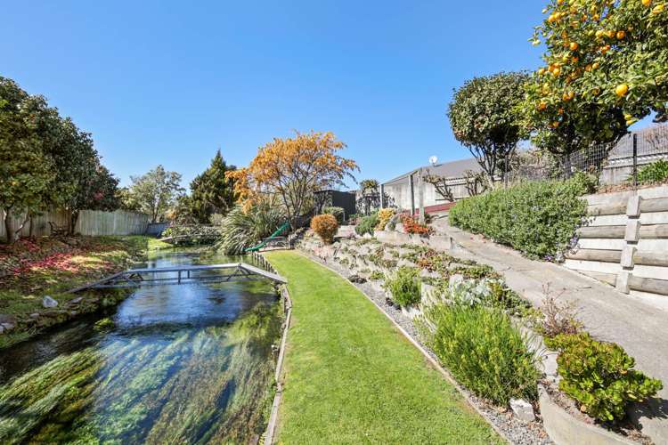 12 Colemans Road Springlands_20