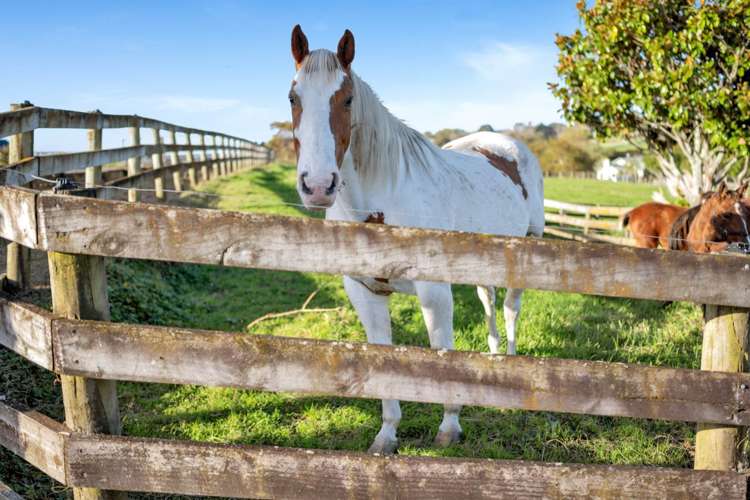 81 Potts Road Whitford_7