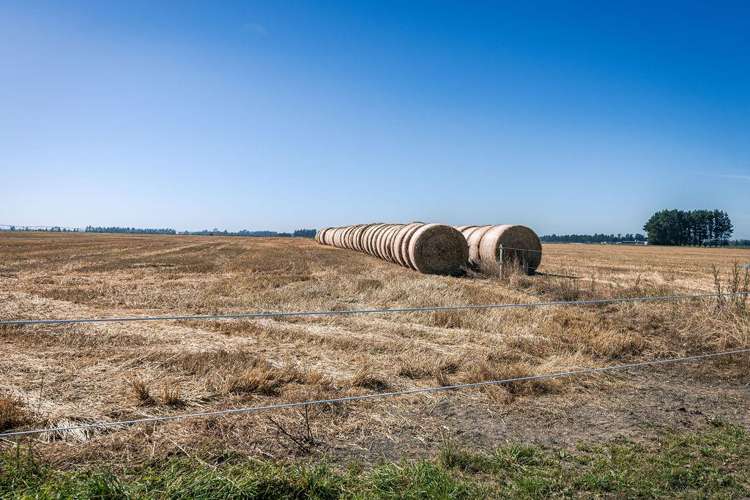 1710 Ealing Montalto Road Ashburton_45