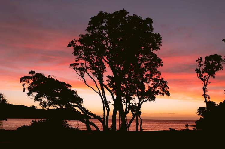 5 Mulberry Grove Road Great Barrier Island_19