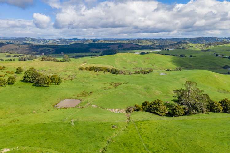 Inkster Road Maromaku_8