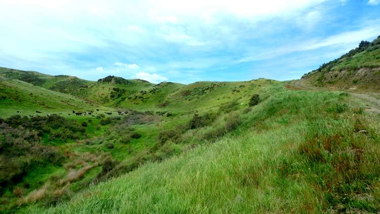 3/266 Patersons Road Motunau_1