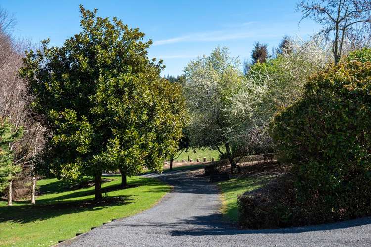 207C State Highway 30 Tikitere_2