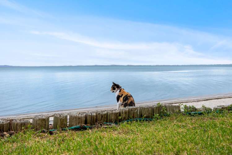 63a Torkar Road Clarks Beach_24