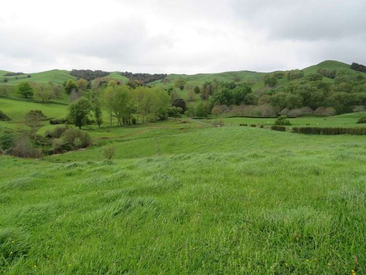 11 Dillon Road Rotoorangi_8