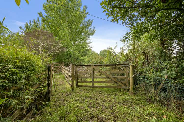 59 Gibbons Road Kaiwaka_25