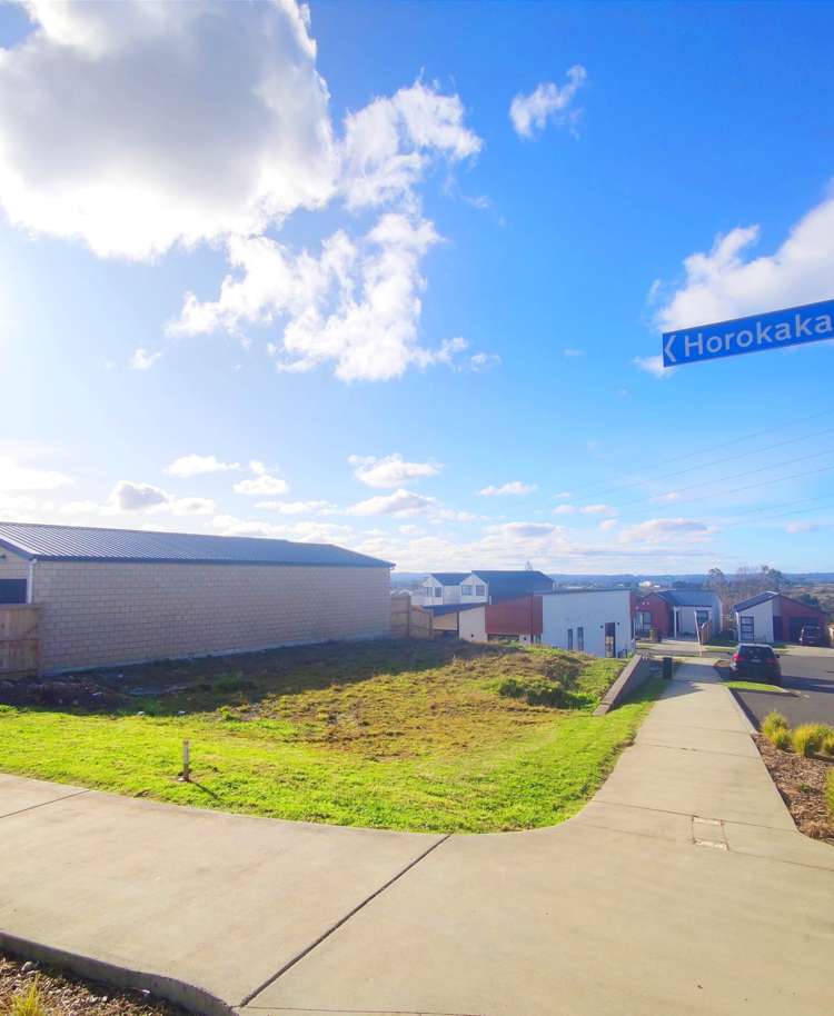 30 Puhikawa Street_0