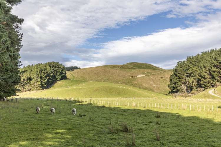 467 Waitahora Valley Road Dannevirke_7