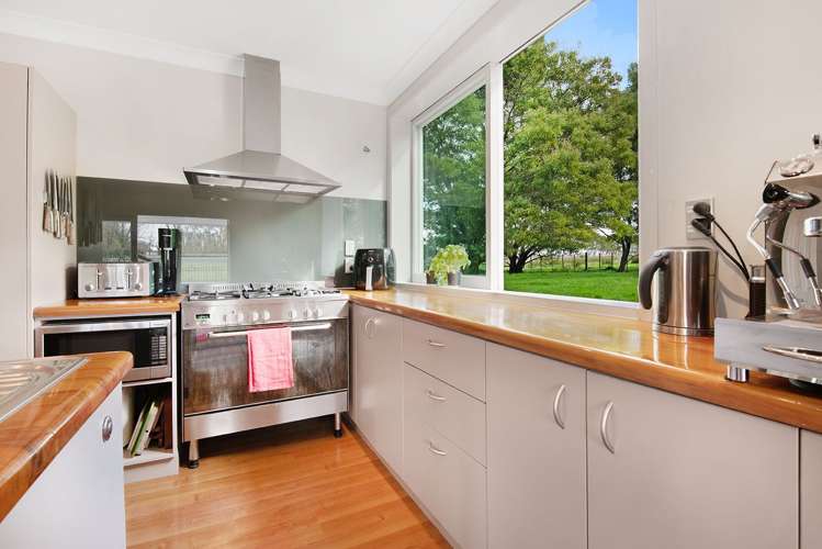 327 Postman Road Dairy Flat_7