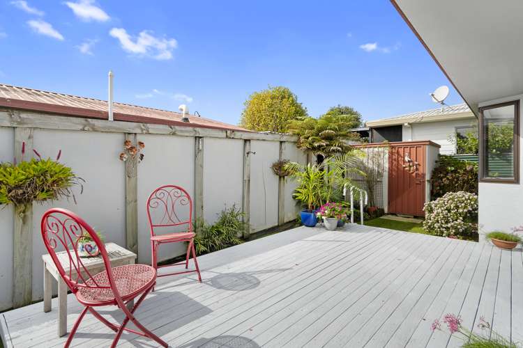 11c Kiteroa Street Greerton_9