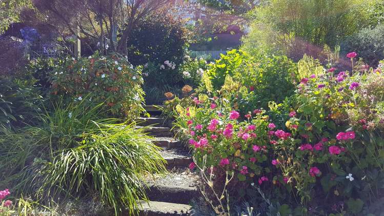 102 Wallace Street Mount Cook_7