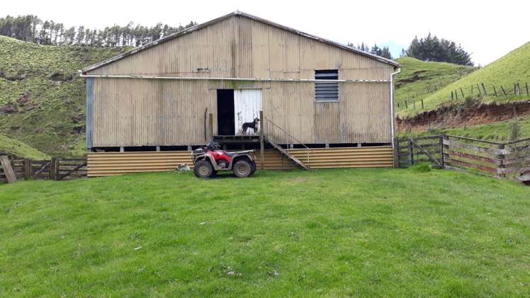 138 Quarry Road Stratford_6