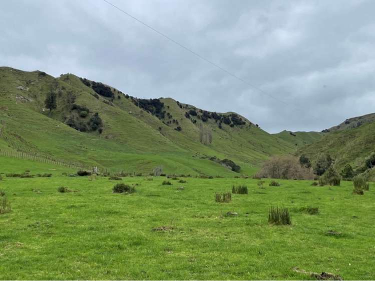 166 Saddler Road Ruapehu_2