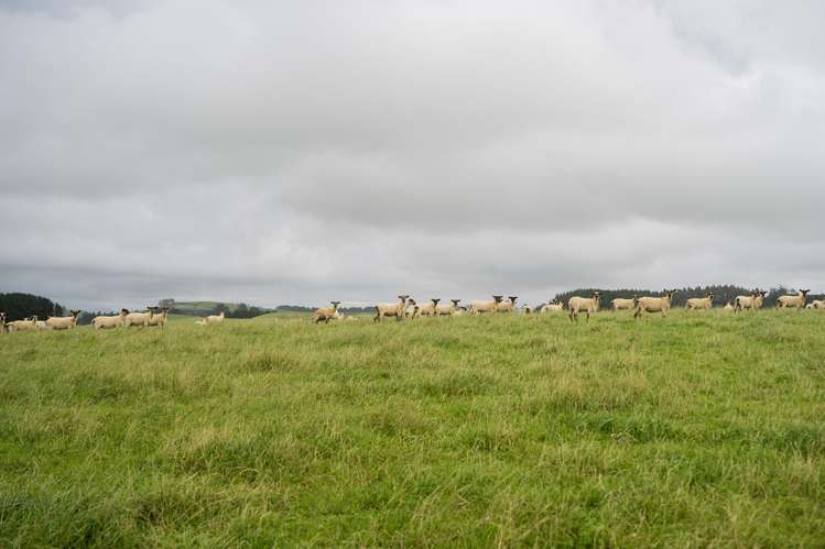 574 Spur Hut Road Temuka_7