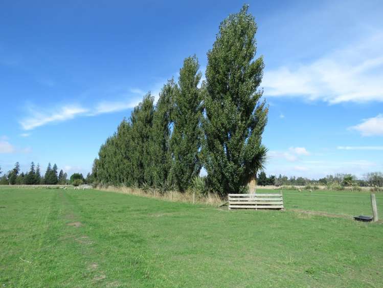 29 Mitcham Road Allenton_19