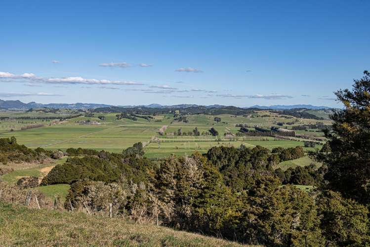 1261 Hukerenui Road_4