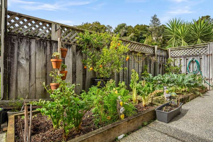 173b Maunu Road Horahora_12