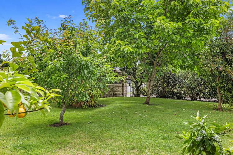 31 Te Hono Street Maungatapu_4