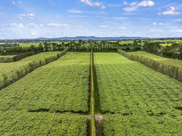 37 and 41 Taurangaruru Road Waiuku_14