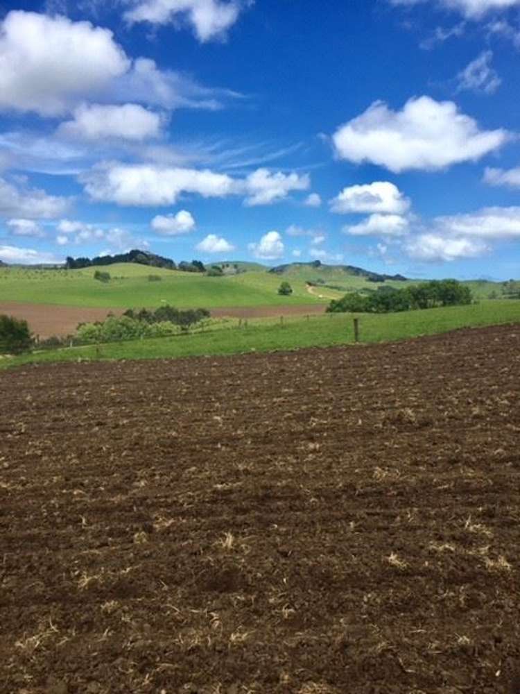 272 Broughton Road Ruawaro_36