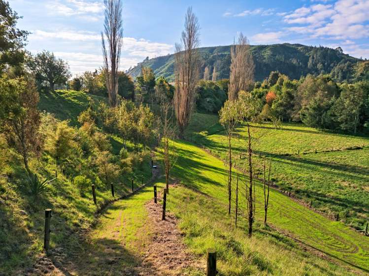 289 Waitao Road Kaimai_5