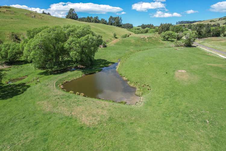 102 Scargill Valley Road Greta Valley_11