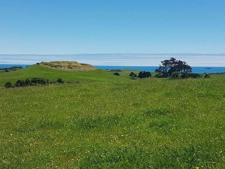 80 Koru Road Omata_21