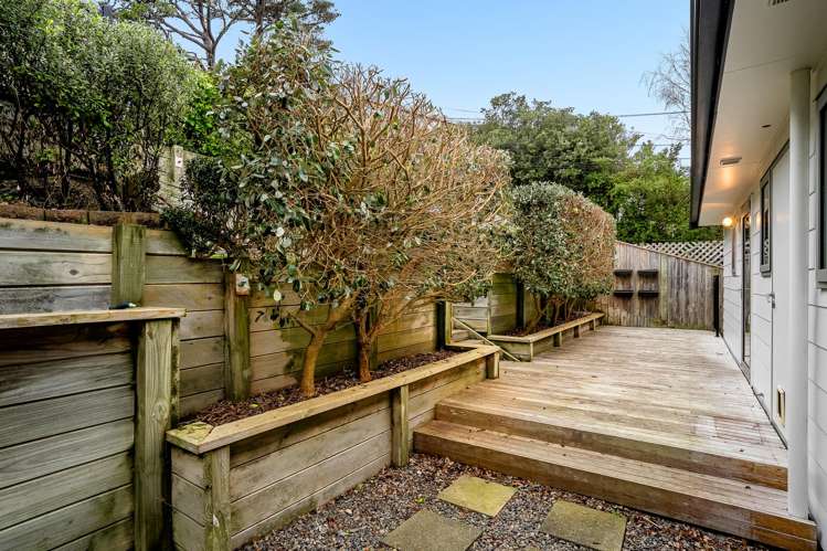61 Townsend Road Miramar_22