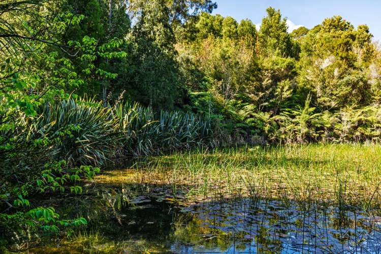 Lot 1/332 Kapiro Road Kerikeri_8