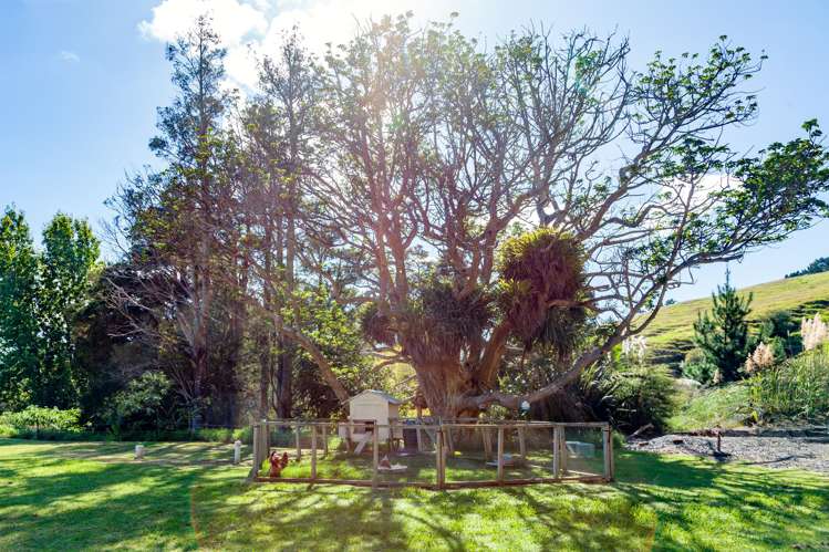 1740 SH25, Manaia Road Coromandel_27