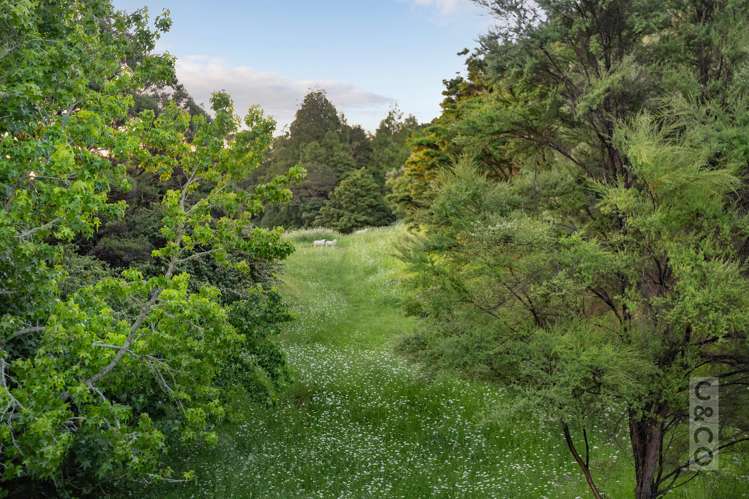 75 Taylor Road Waimauku_31