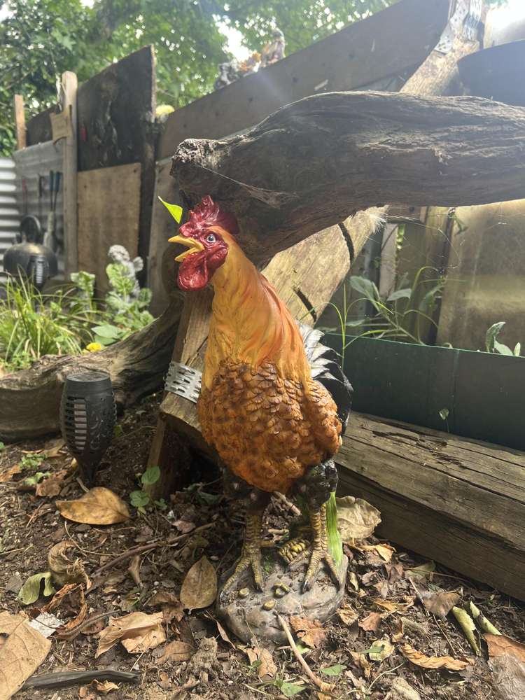 52 Te Kumi Road Te Kuiti_16