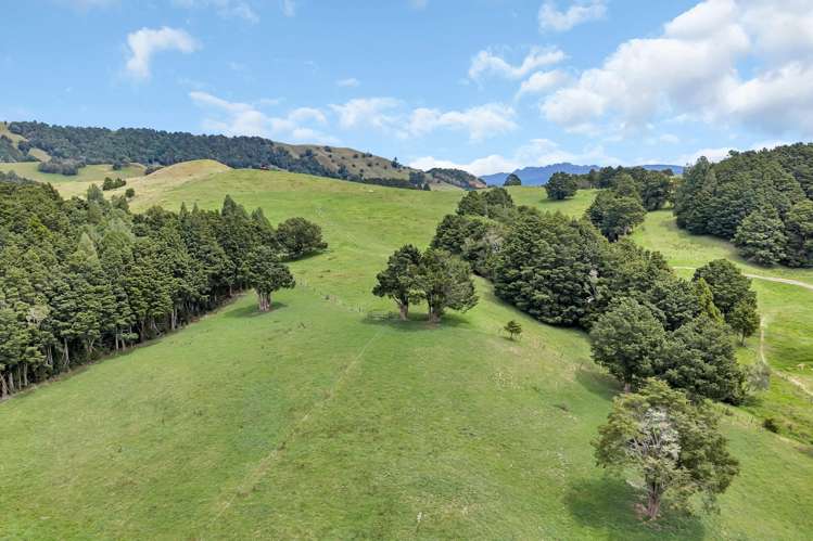 Pipiwai Road Purua_3