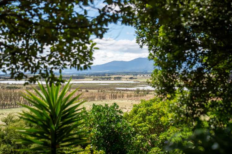 3626 Western Lake Road Ocean Beach_29