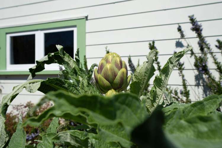 45 George Street Hikurangi_19