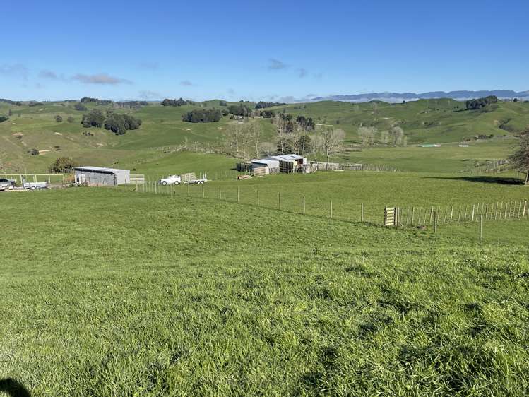 80b Mangaotaki Road Piopio_42