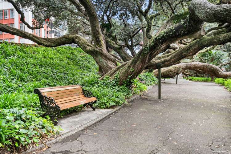 2/66 Emily Place Auckland Central_12