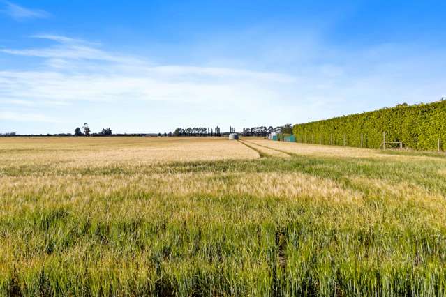 37.47 Hectares of prime irrigated cropping land