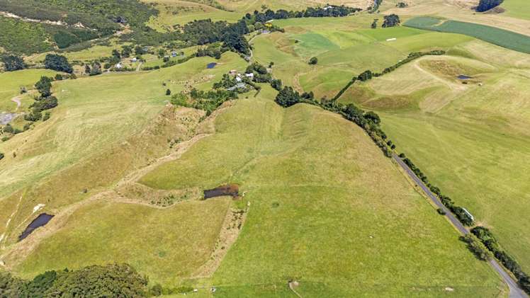 479 Kahuterawa Road Linton_7