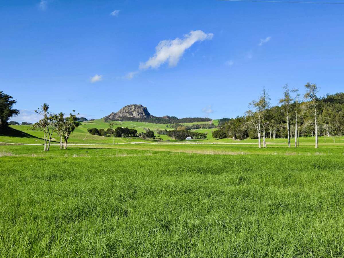 Lot Lot 2/3035 Mititai Road_0